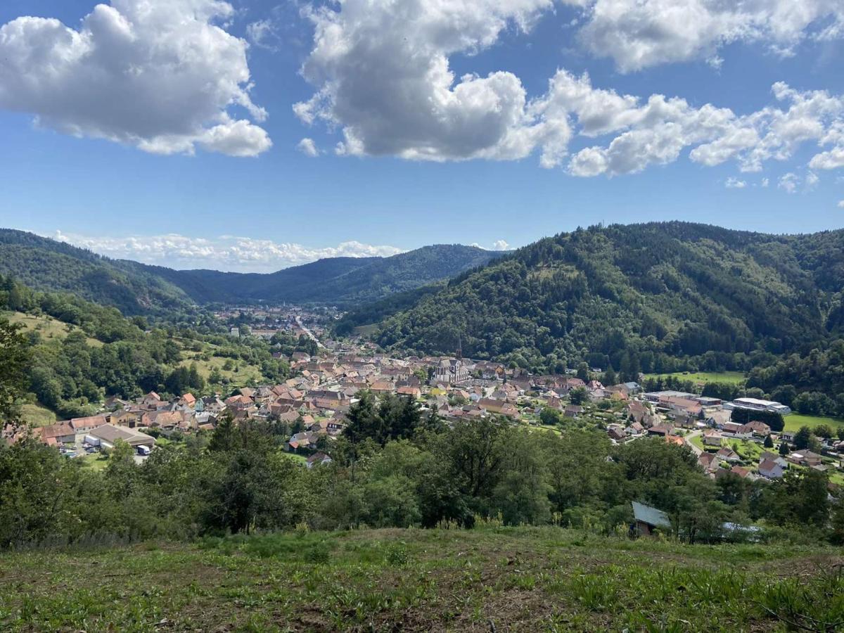 Willer-sur-Thur Les Noyers Du Wissbachヴィラ エクステリア 写真