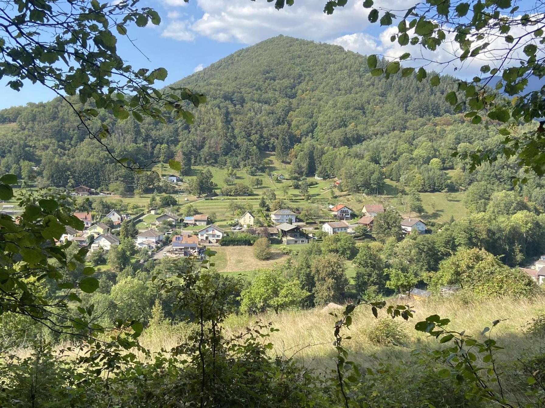 Willer-sur-Thur Les Noyers Du Wissbachヴィラ エクステリア 写真